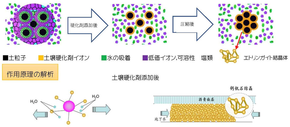 作用原理の解析